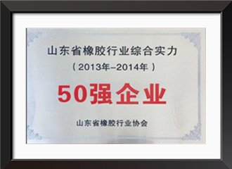 Comprehensive strength Top 50 enterprises in Shandong rubber industry